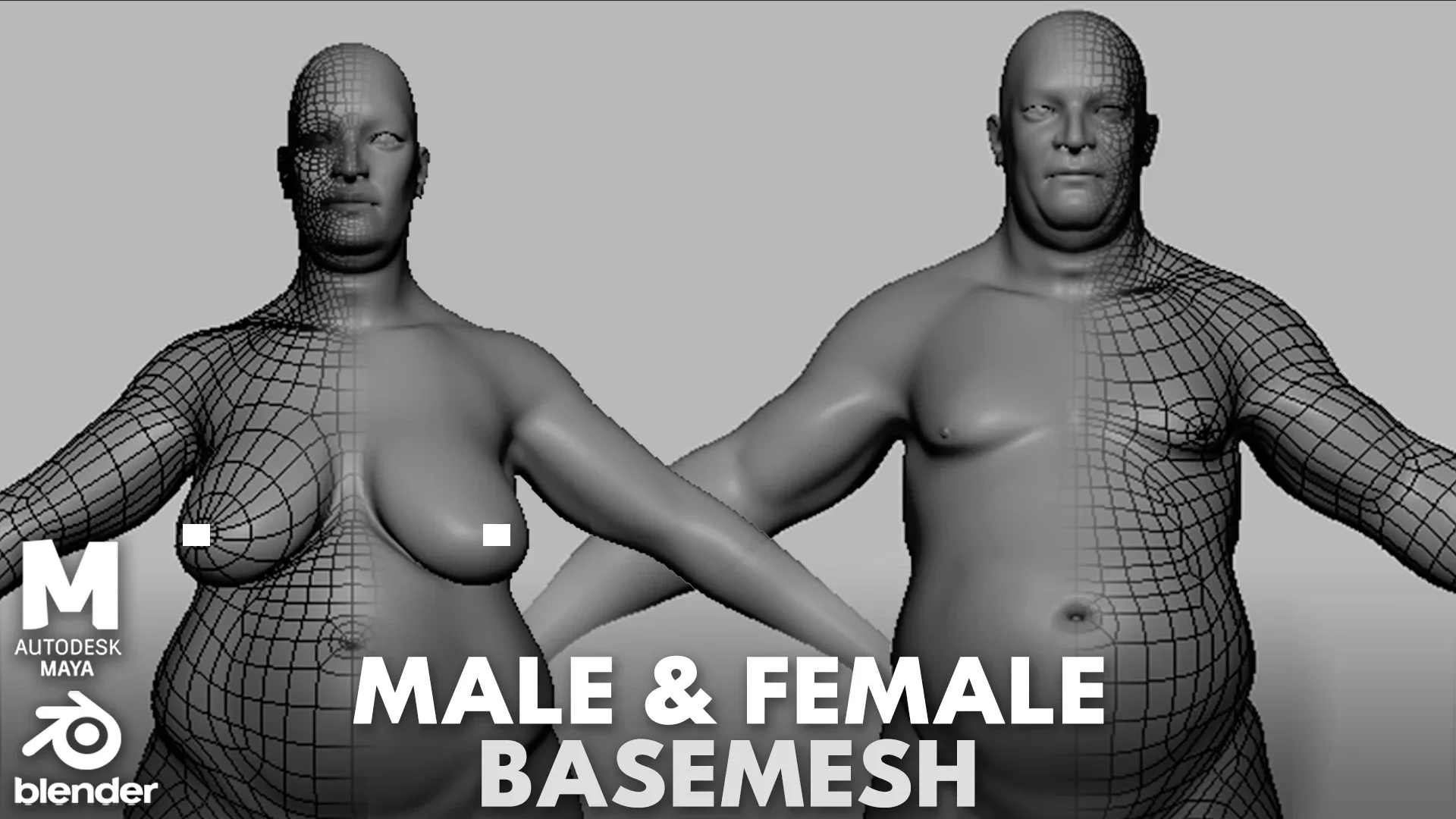 BaseMesh Collection Anatomy - Topology + UV