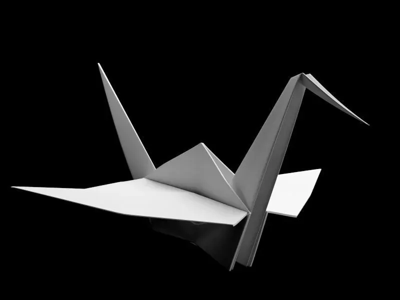 Folded Paper Swan - Crane Origami Art