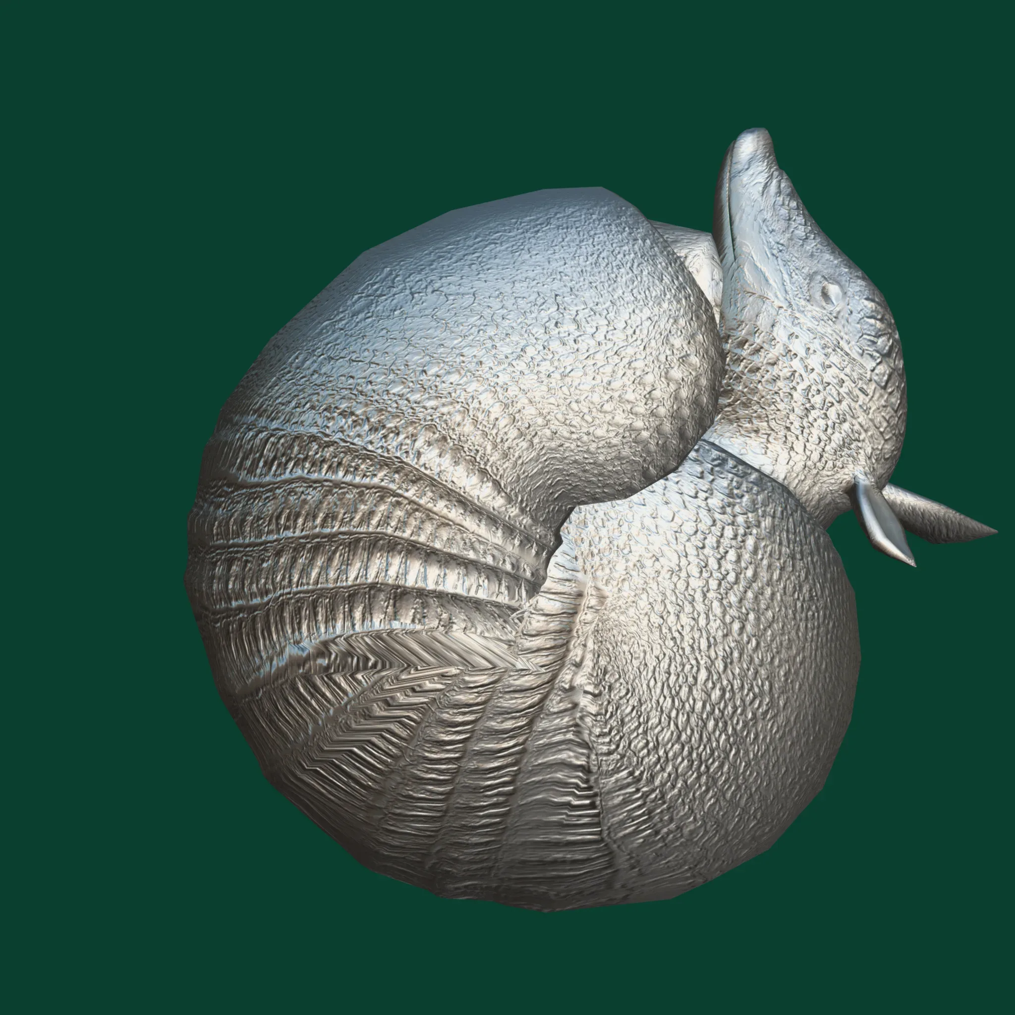 Armadillos Animal