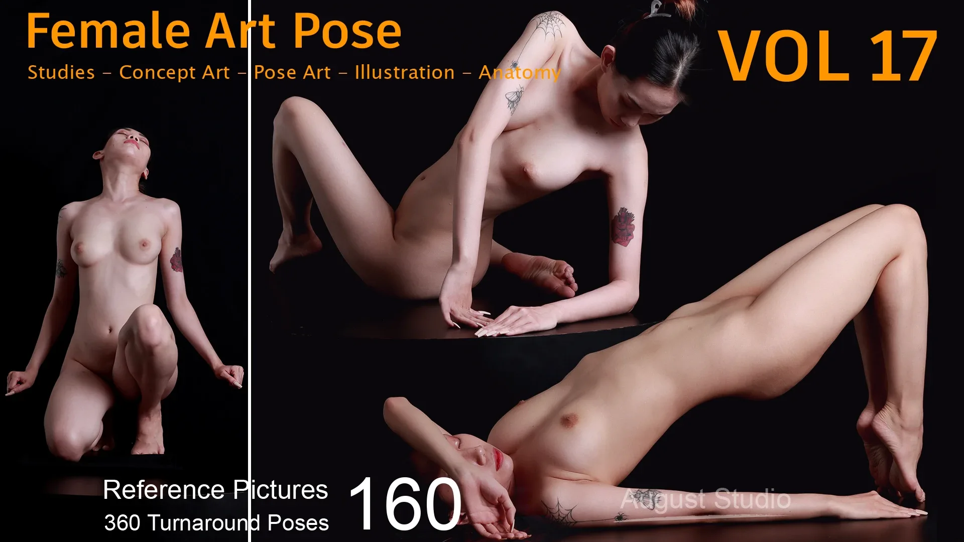 Female Art Pose Vol 17 - Reference Pictures