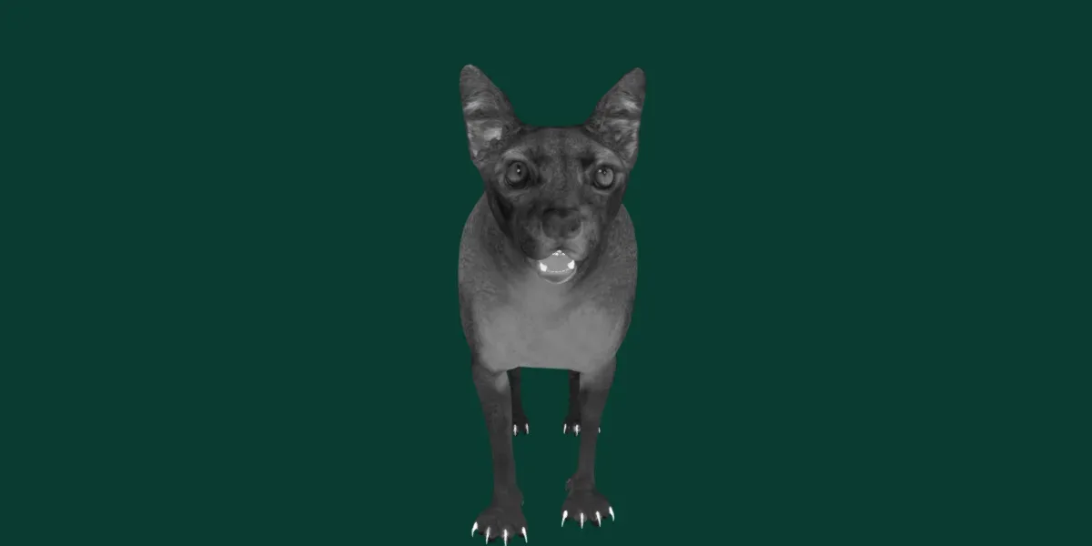 Fossa Animal