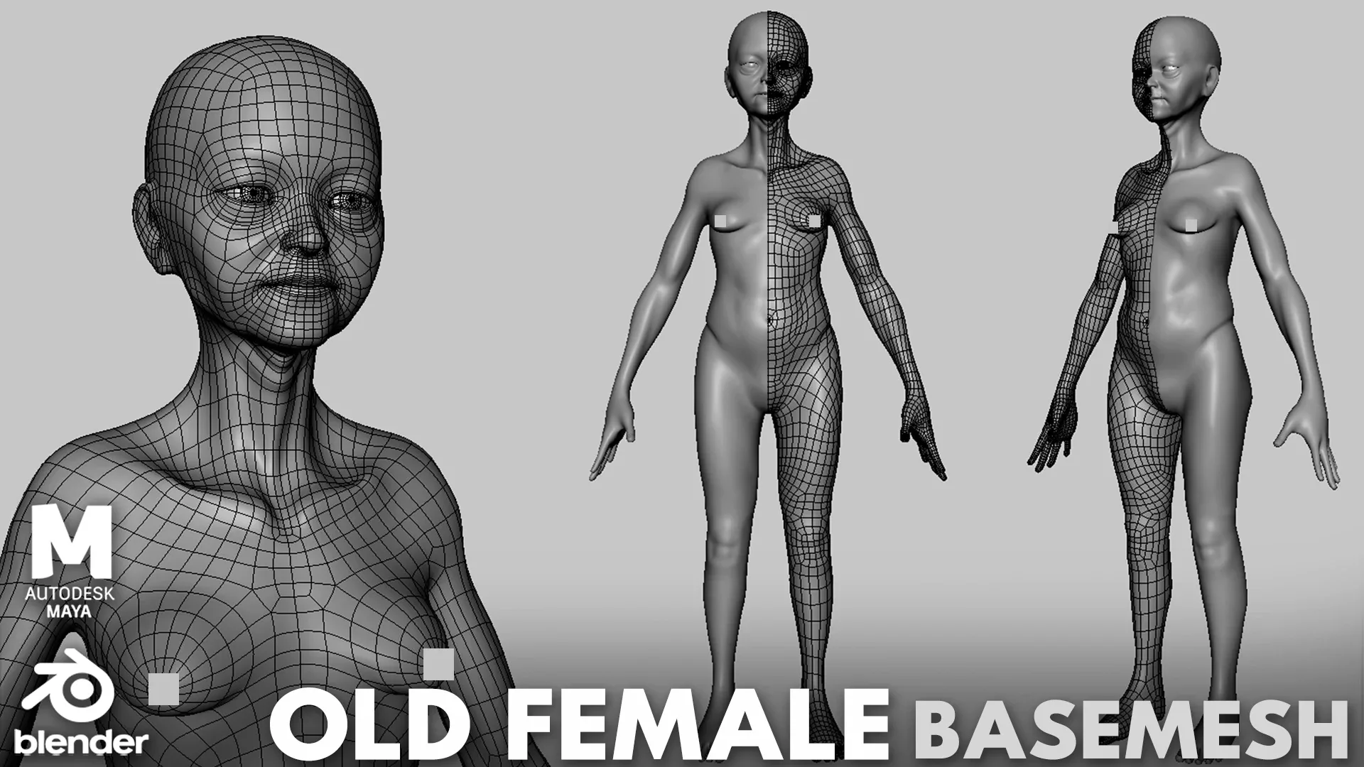 13 Human BaseMesh Collection - Topology + UV