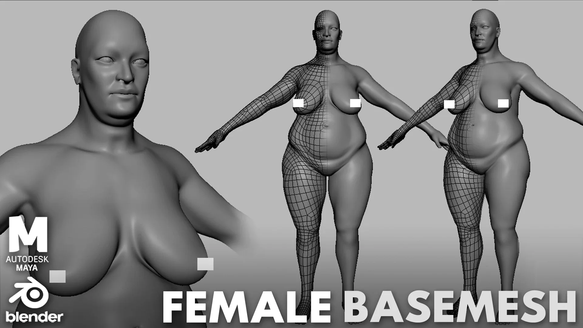 BaseMesh Collection Anatomy - Topology + UV