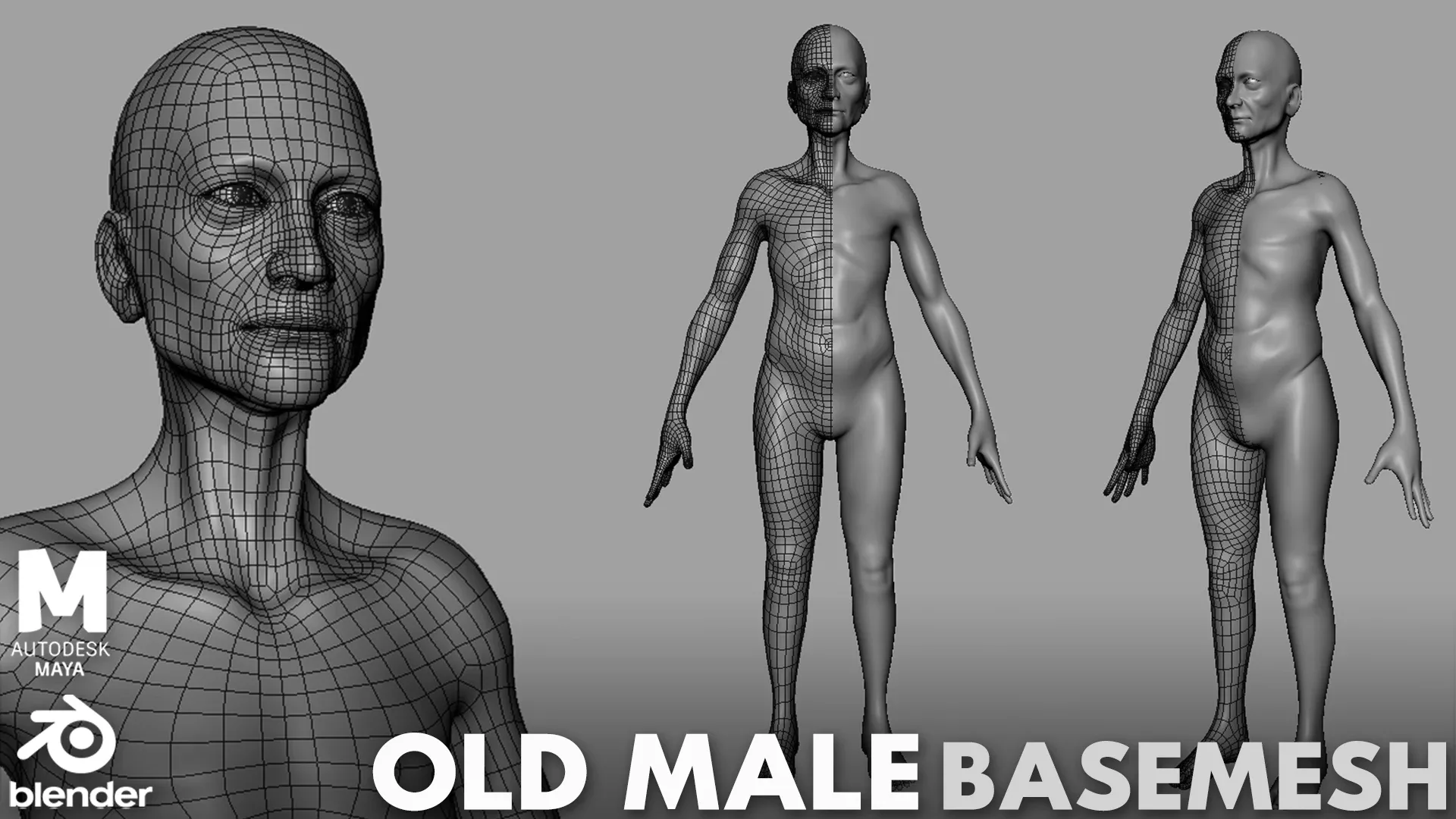 BaseMesh Collection Anatomy - Topology + UV