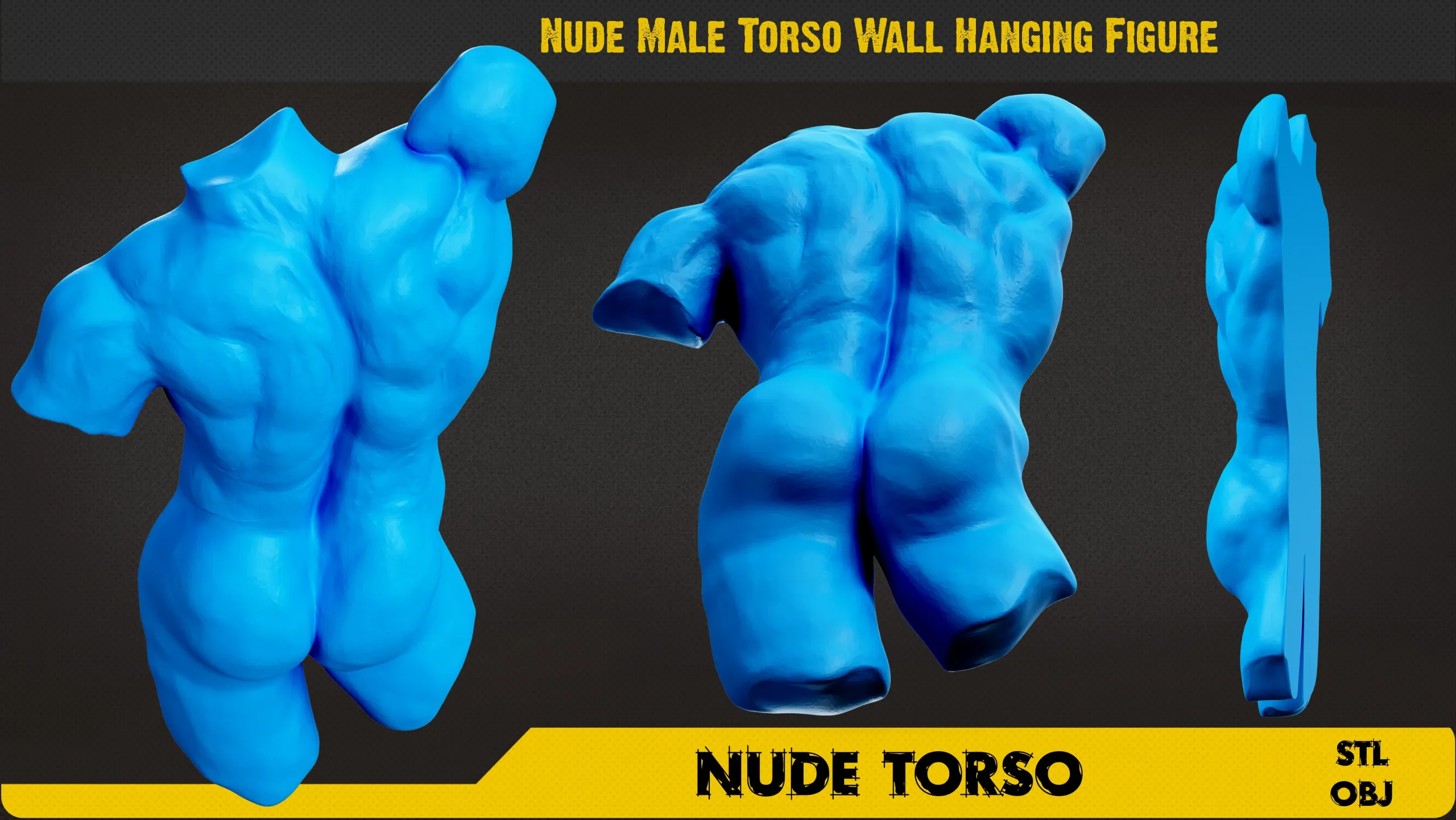 Nude Torso