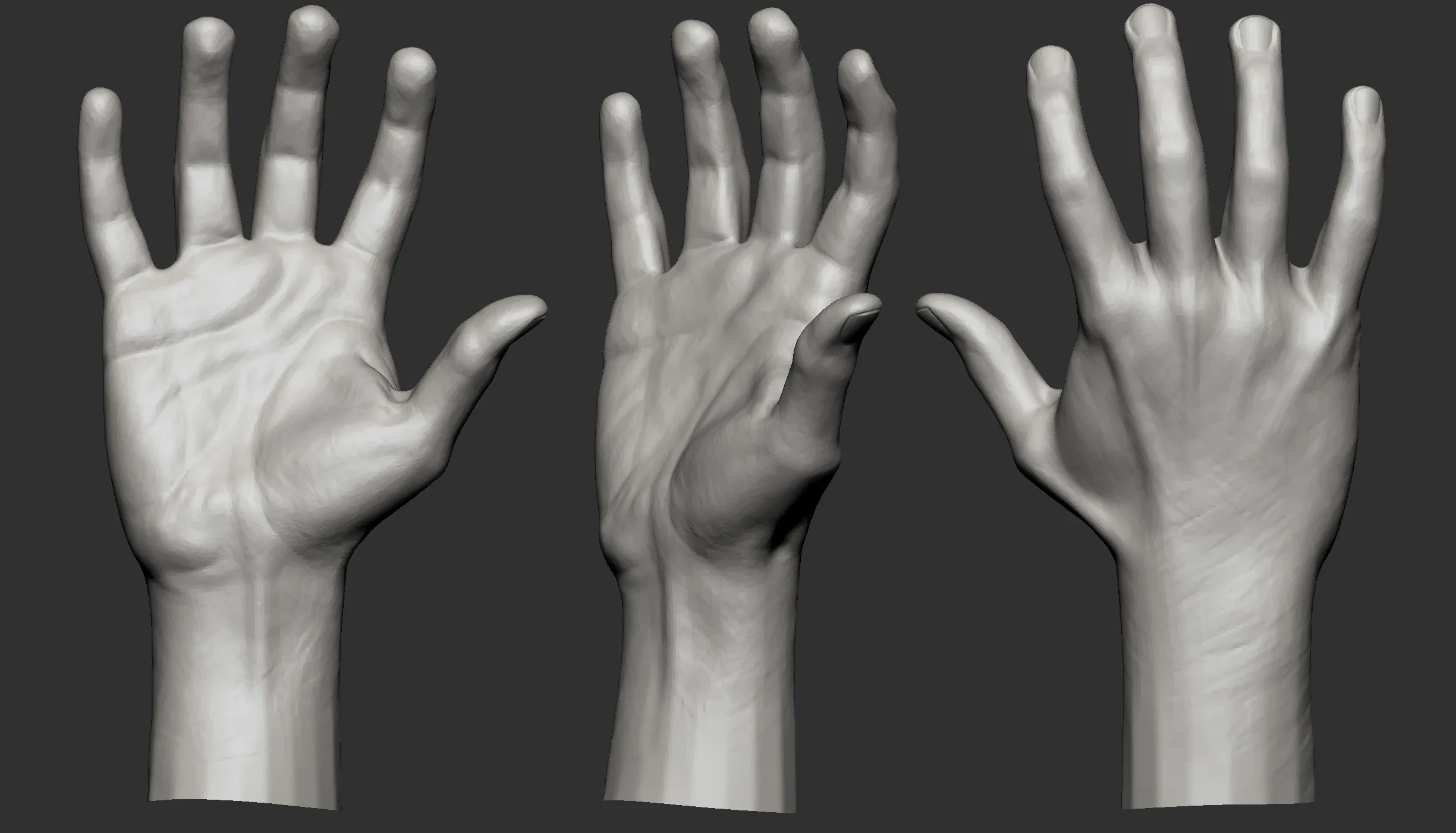 Male Hand Basemesh