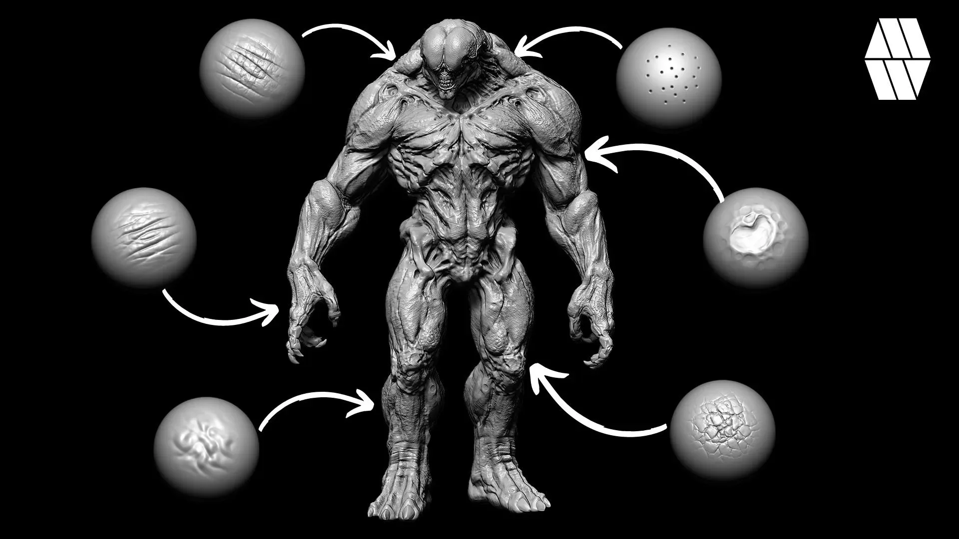 20 Skin Alphas and VDM Brush: Volume 2 - Custom made Skin Alphas to use in ZBrush