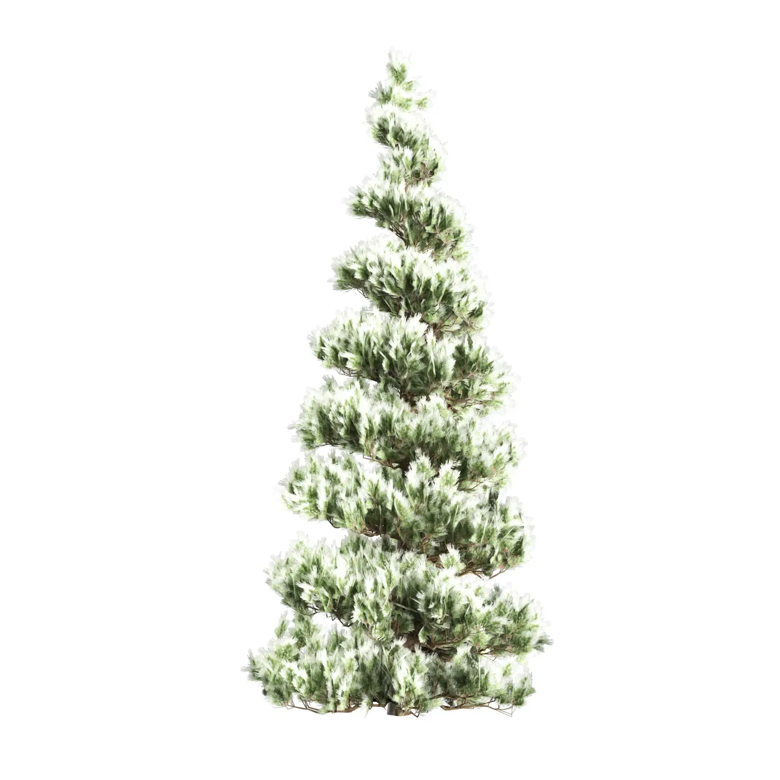 Green and white Coated Pine Trees pack