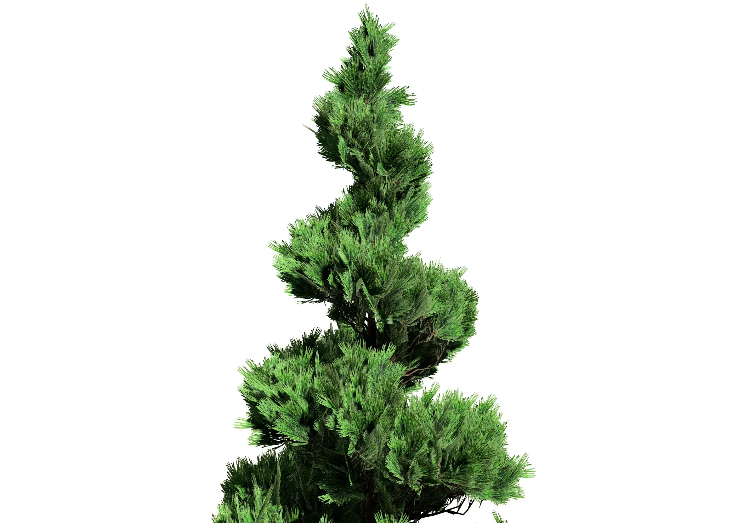 Green and white Coated Pine Trees pack