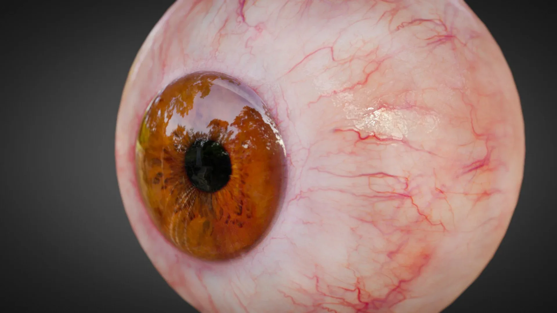 3D Human Eye - animated!