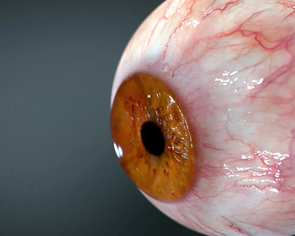 3D Human Eye - animated!