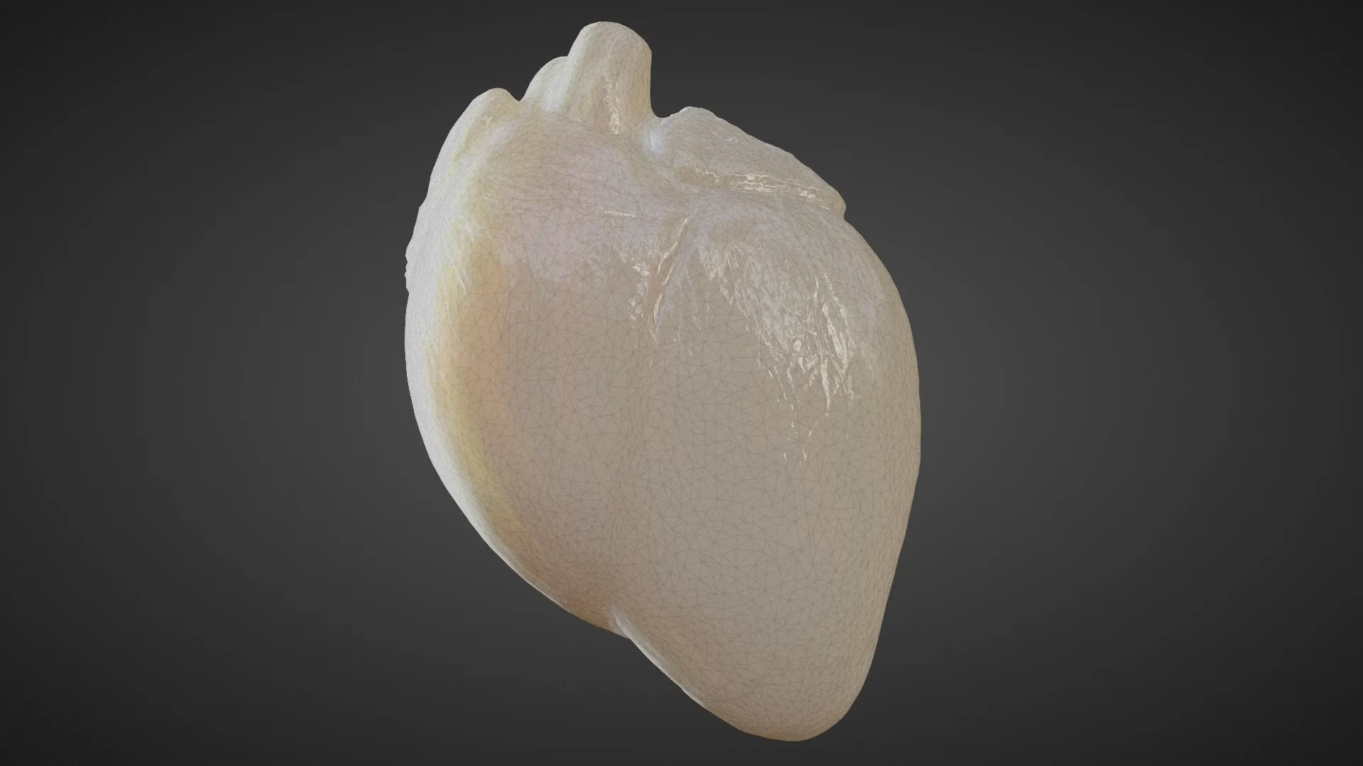 3D Heart (animated heartbeat!)