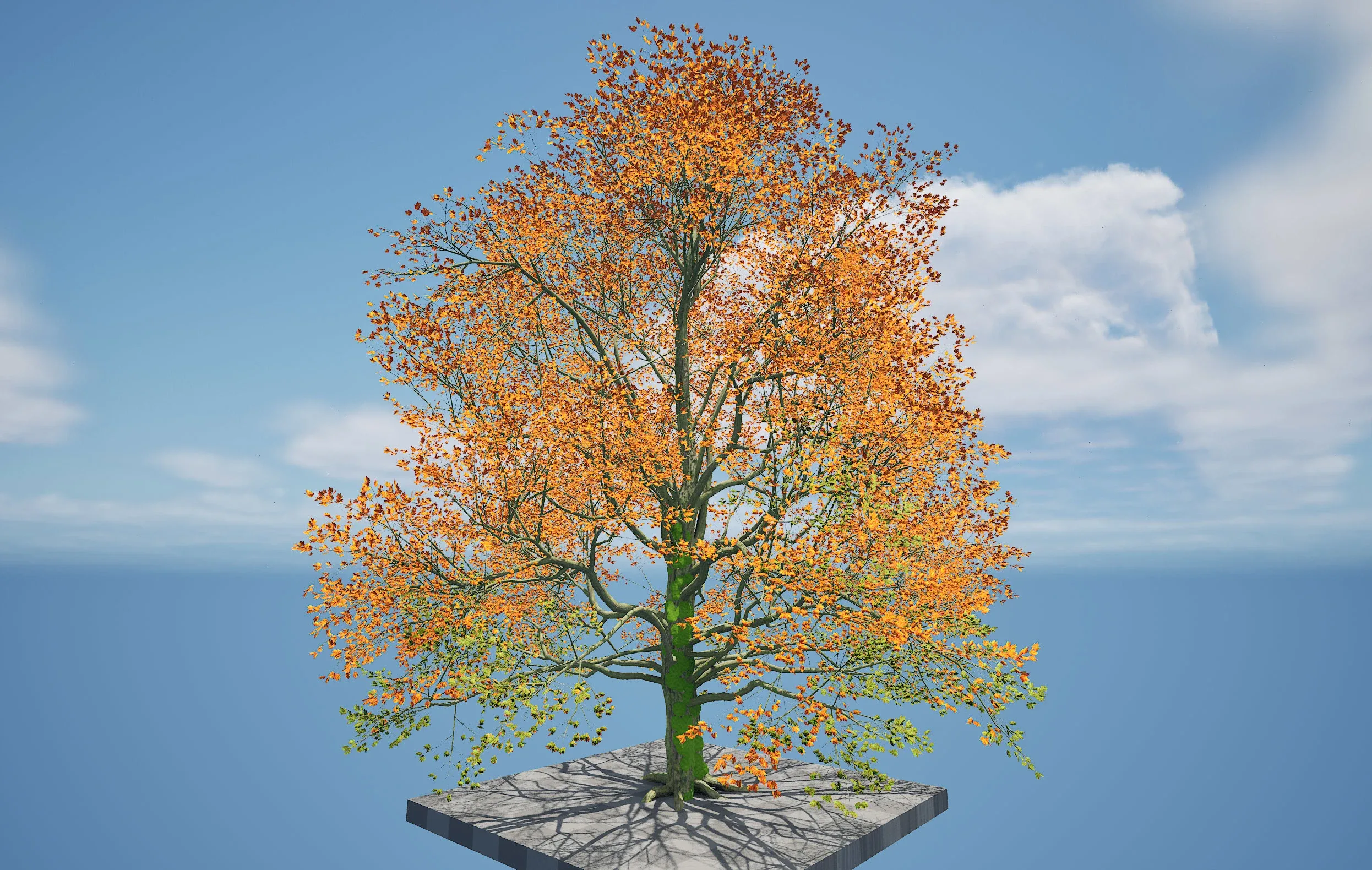 Detailed bigleaf maple trees with trunk moss 3d model