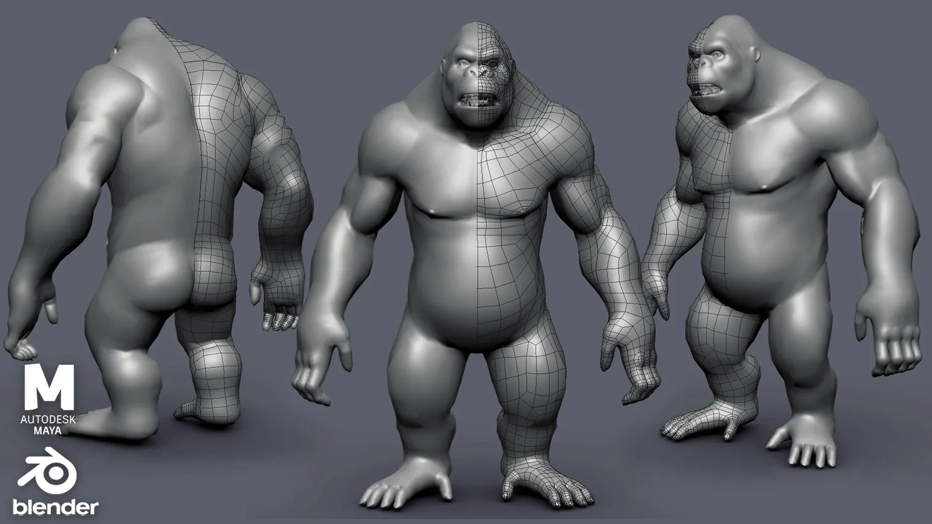 Primate Pack ( Monkey, Chimpanzee, Gorilla, Oragutan ) Basemesh