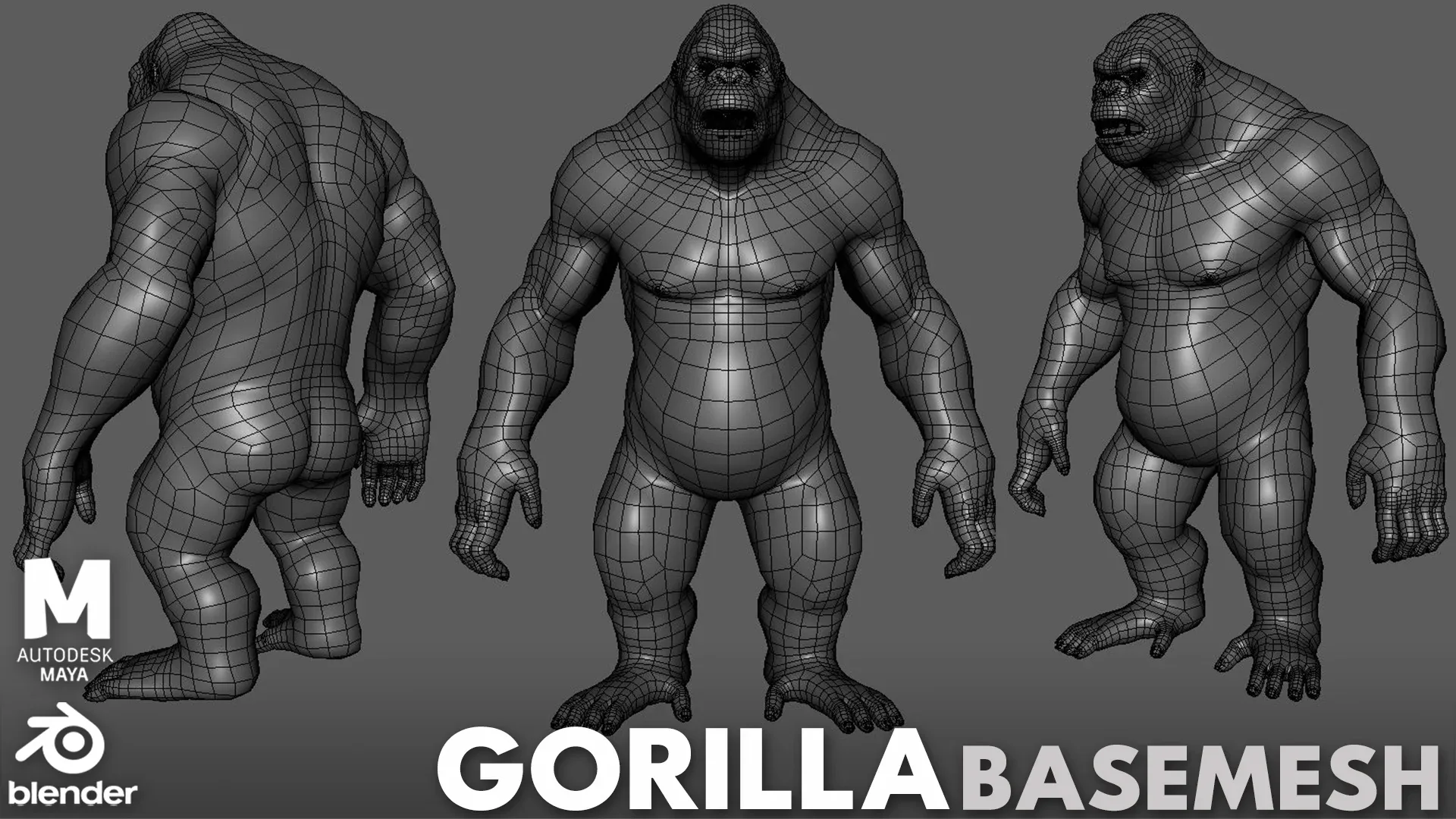 Primate Pack ( Monkey, Chimpanzee, Gorilla, Oragutan ) Basemesh