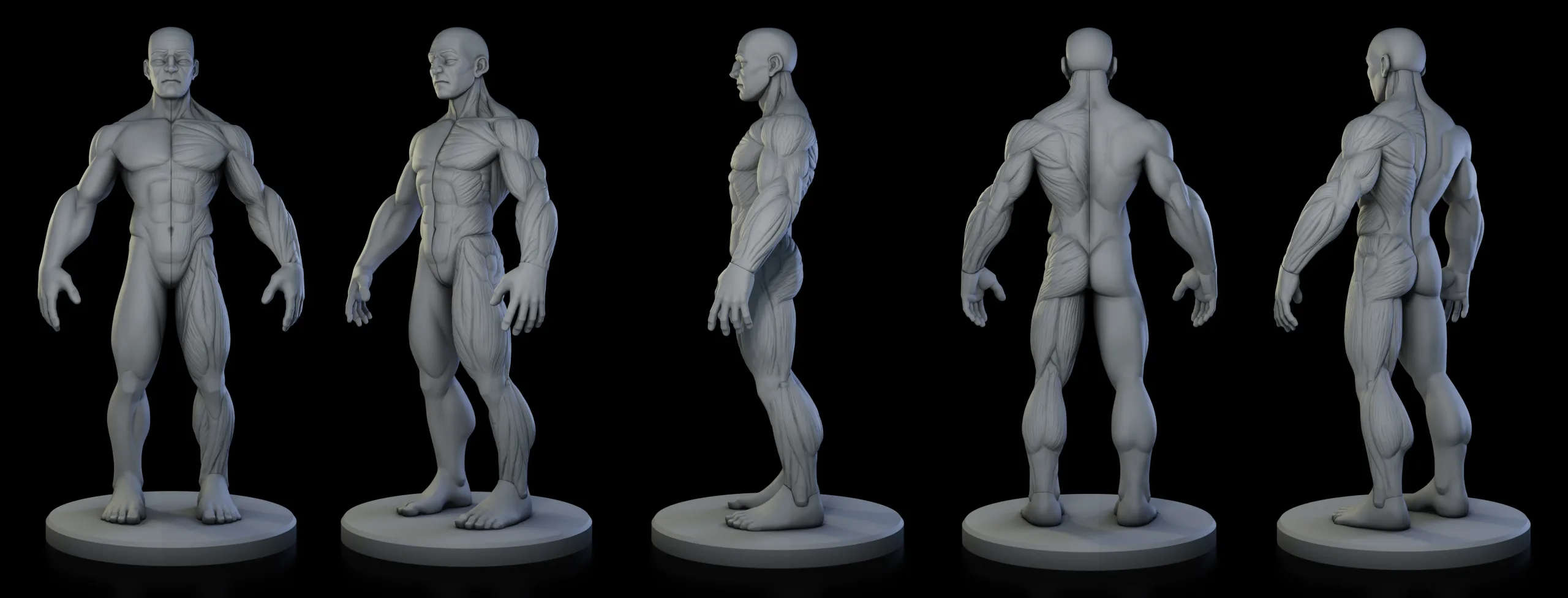 Stylized Male Ecorche Pack - Ready to Print