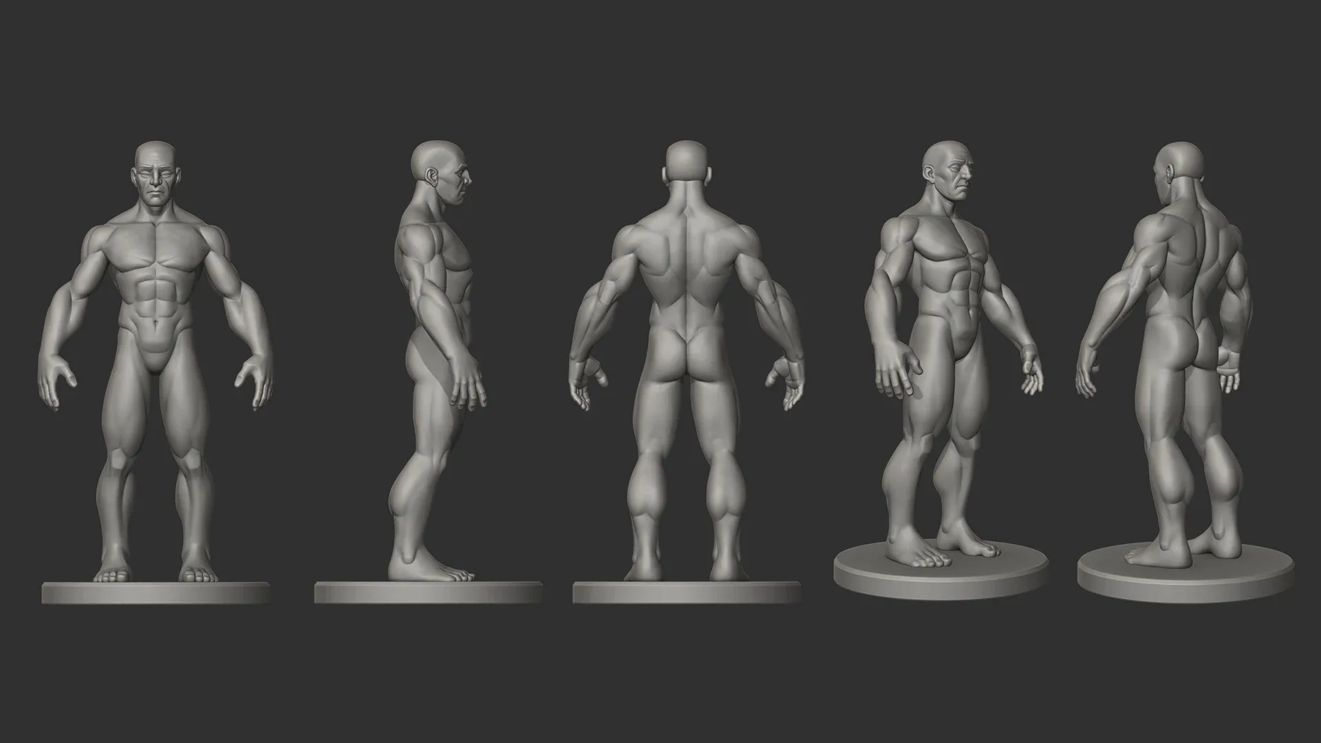 Stylized Male Ecorche Pack - Ready to Print