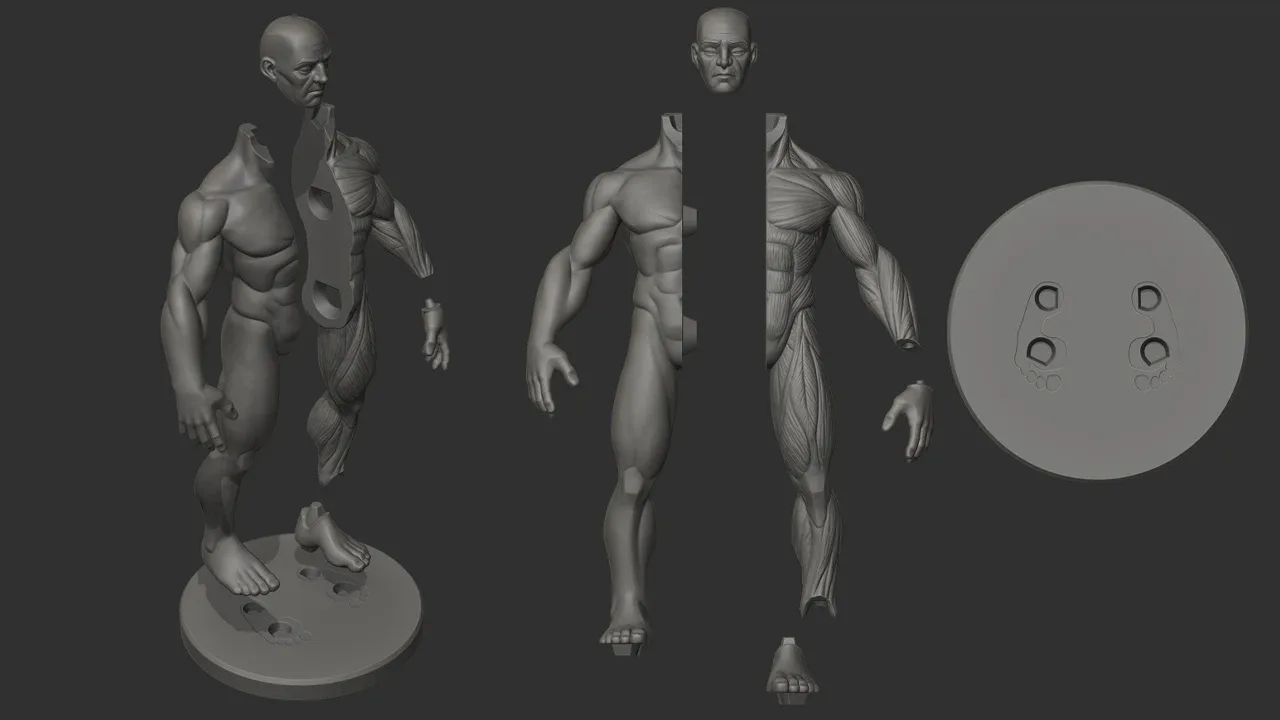 Stylized Male Ecorche Pack - Ready to Print