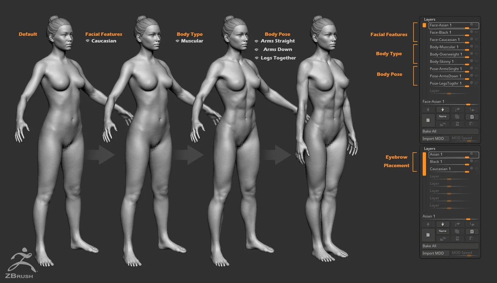 Female Custom Basemesh