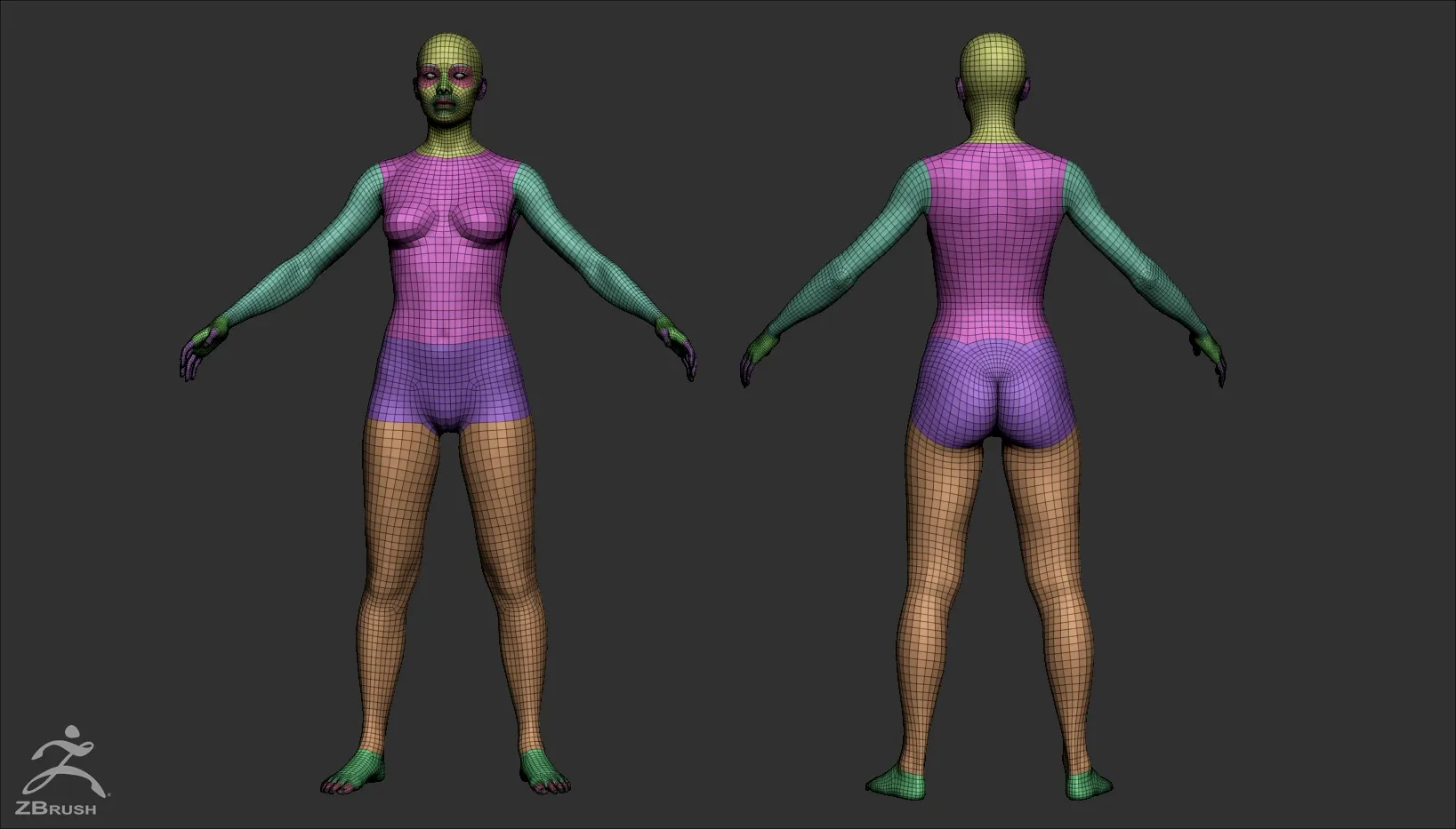 Female Custom Basemesh