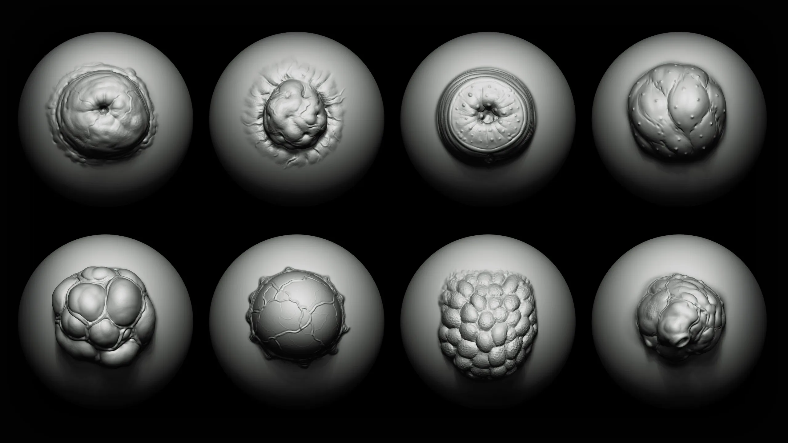 Zbrush + Blender Creature Maker 390 Brushes Bundle 20% OFF