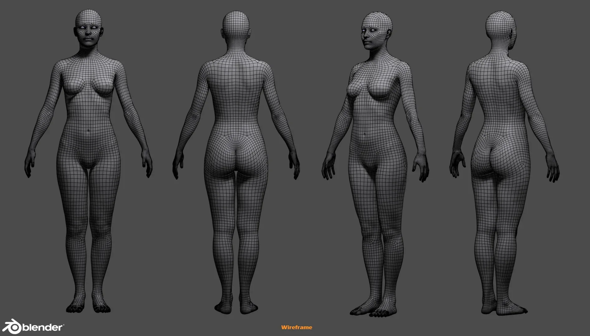 Female Custom Basemesh