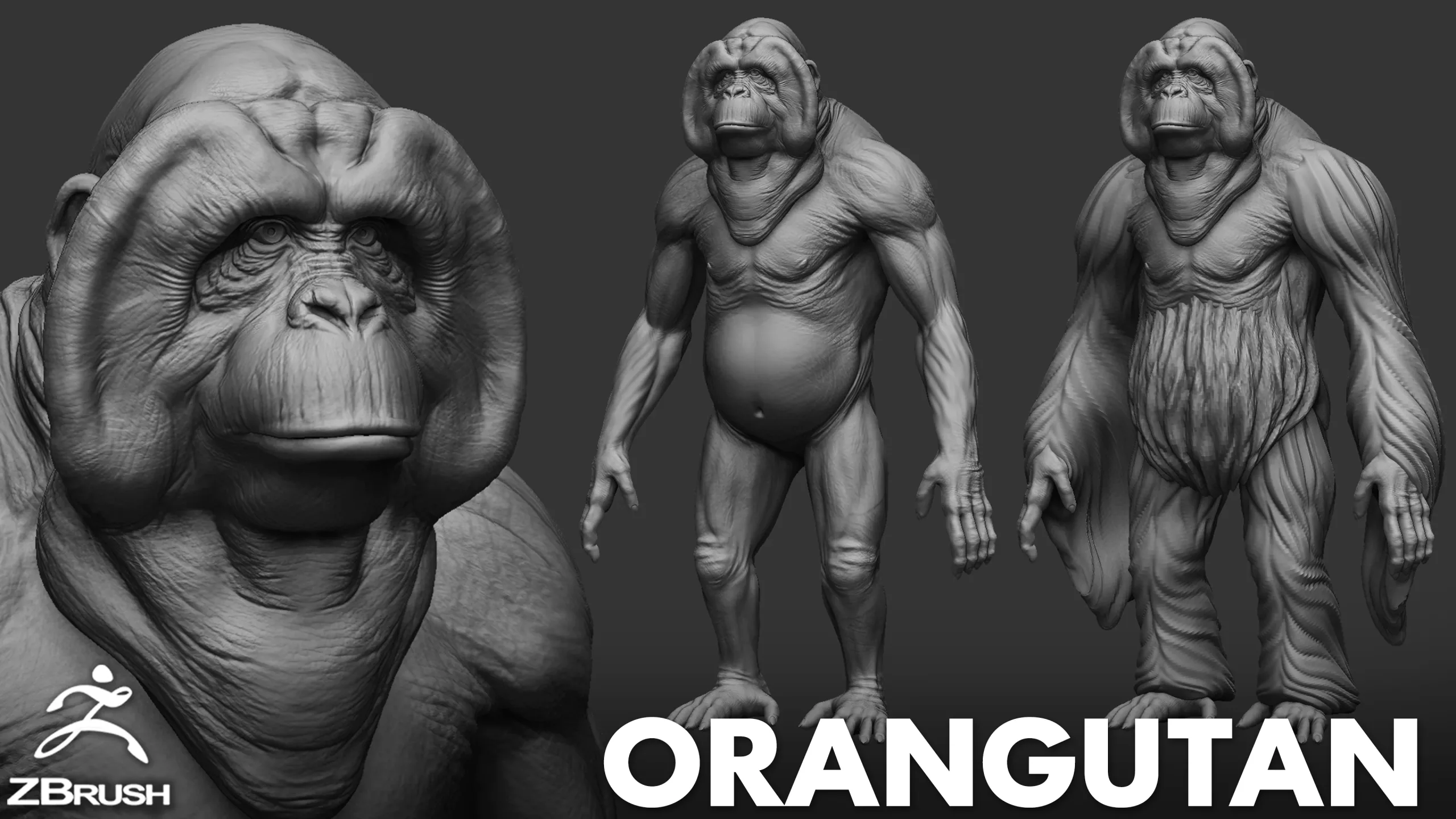 Primate Pack ( Monkey, Chimpanzee, Gorilla, Orangutan ) - Topology + UV Map