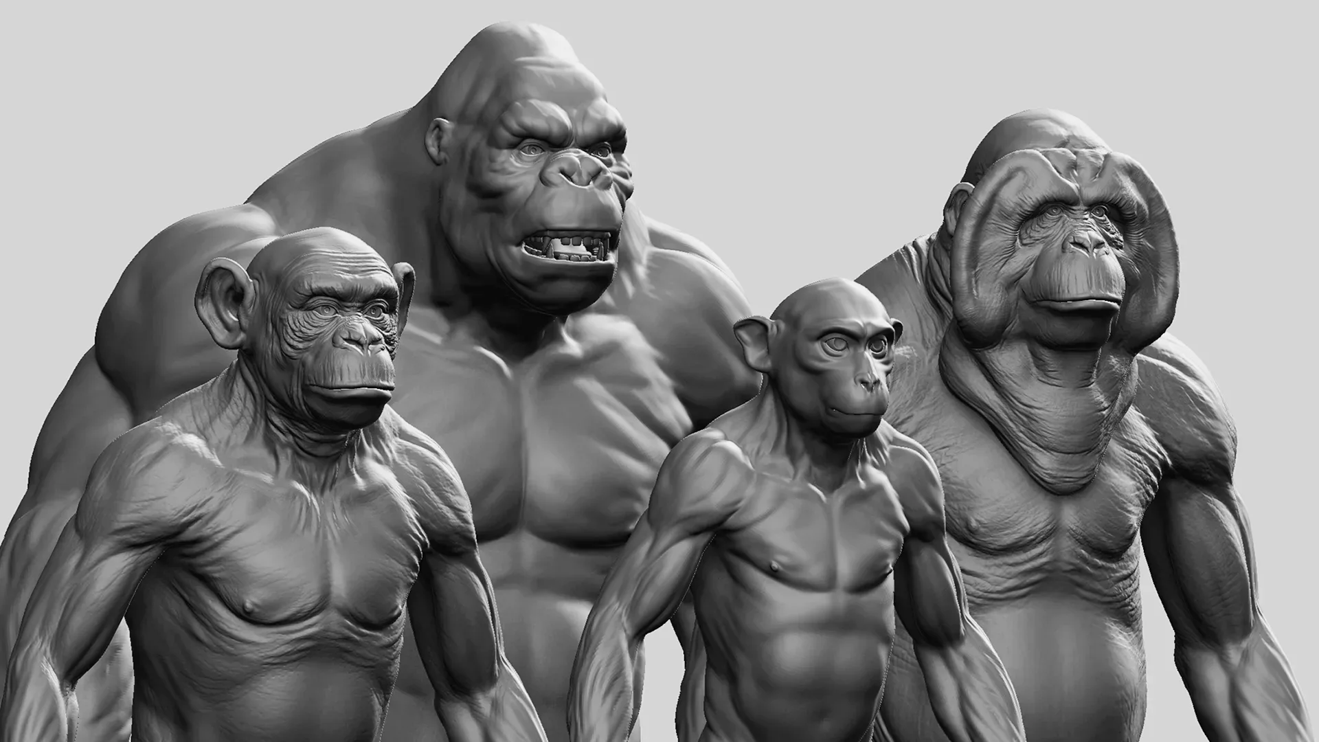 Primate Pack ( Monkey, Chimpanzee, Gorilla, Orangutan ) - Topology + UV Map