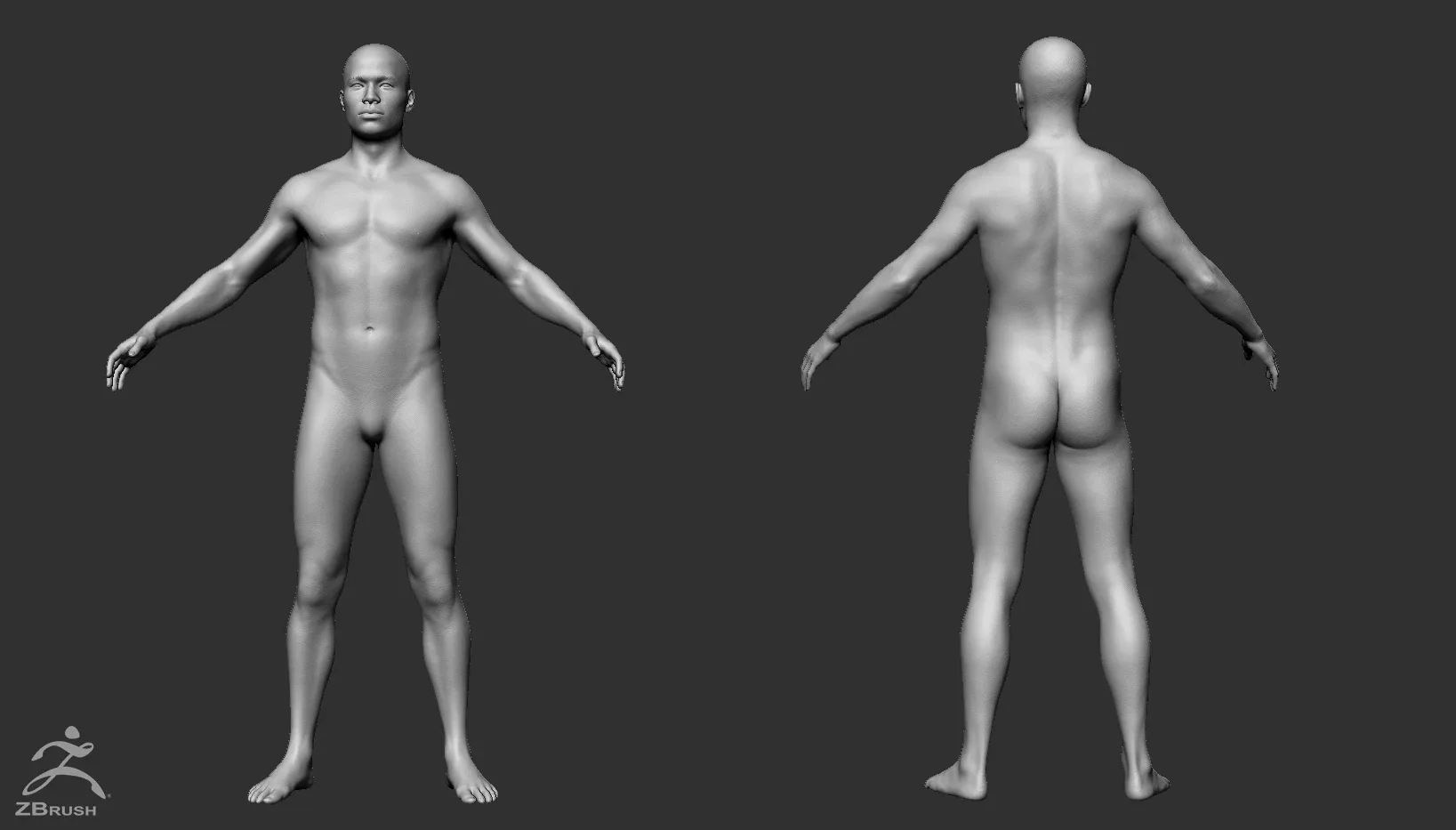 Male Custom Basemesh