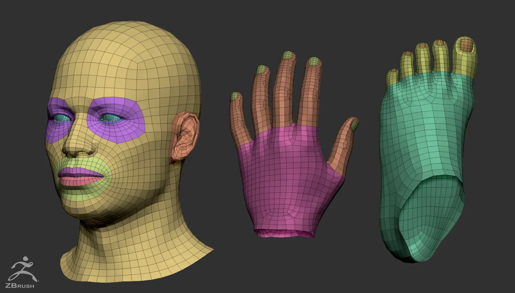 Male Custom Basemesh