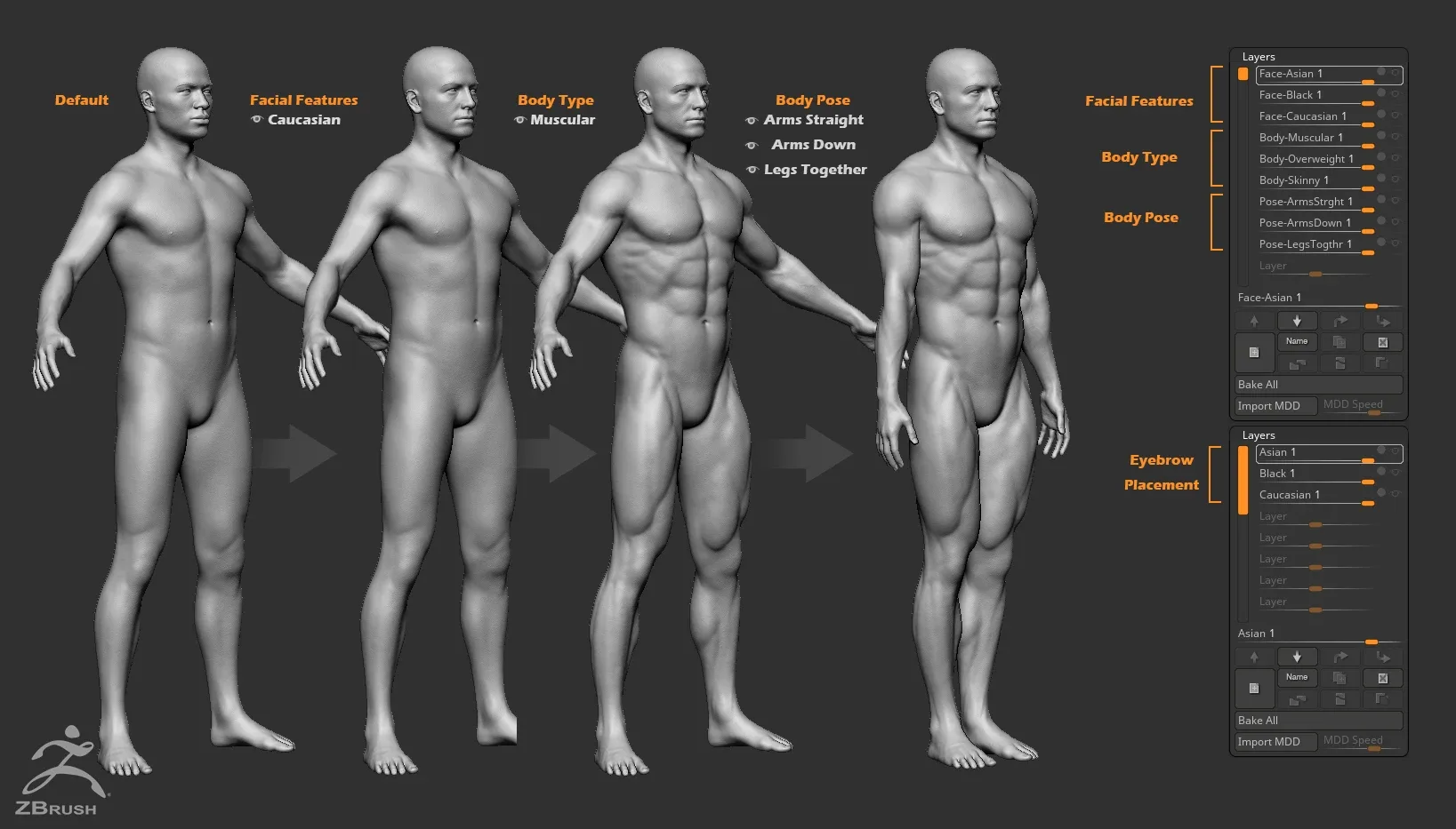 Male Custom Basemesh