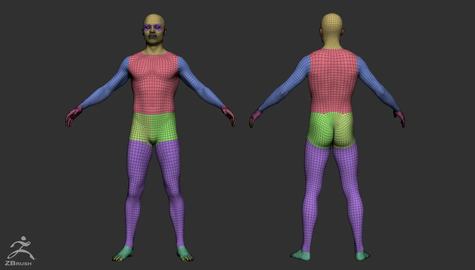 Male Custom Basemesh