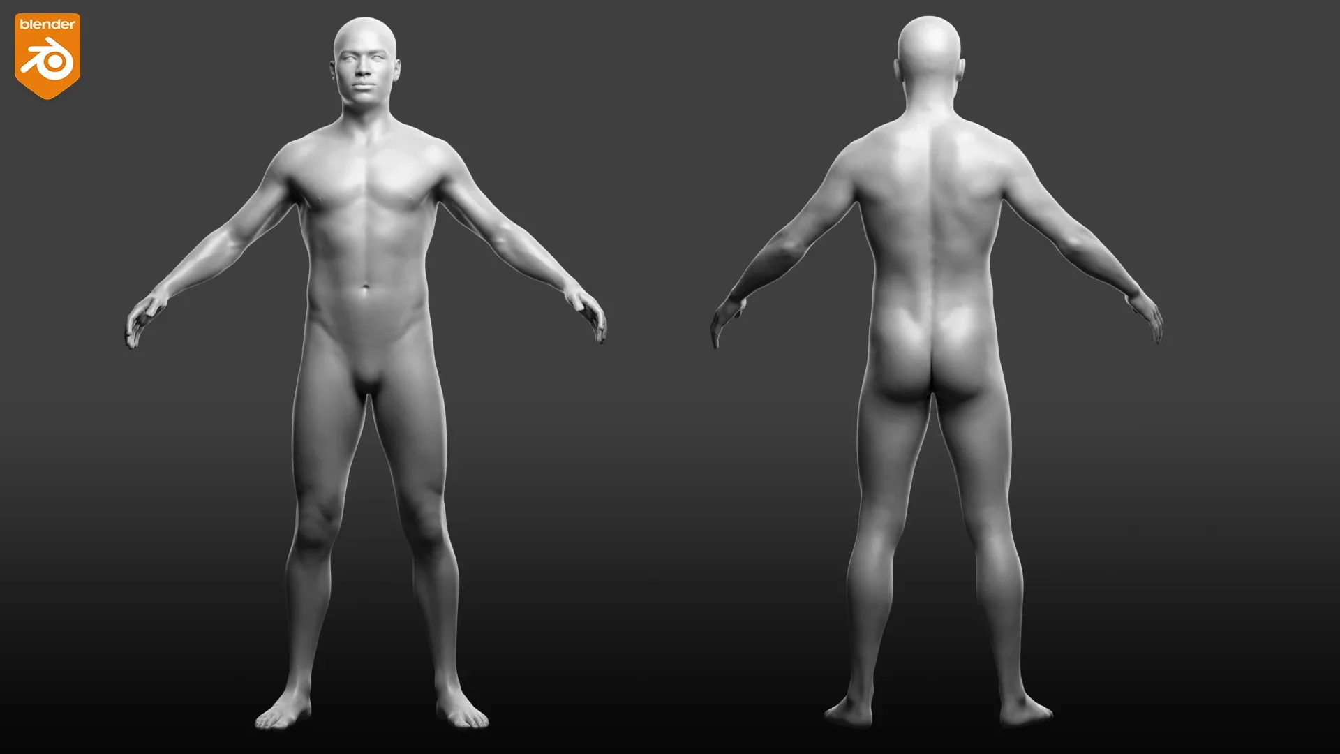 Male Custom Basemesh