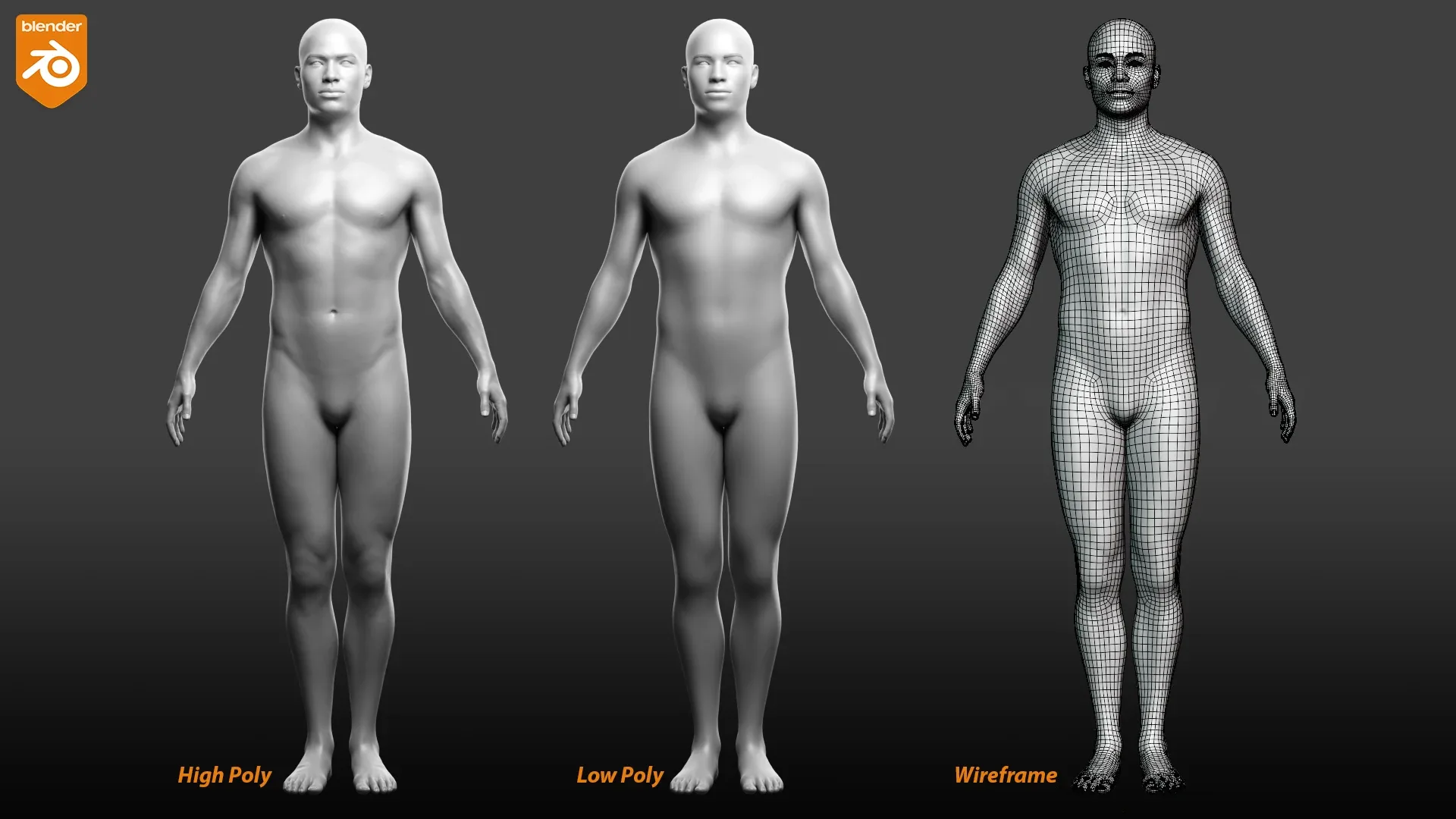 Male Custom Basemesh