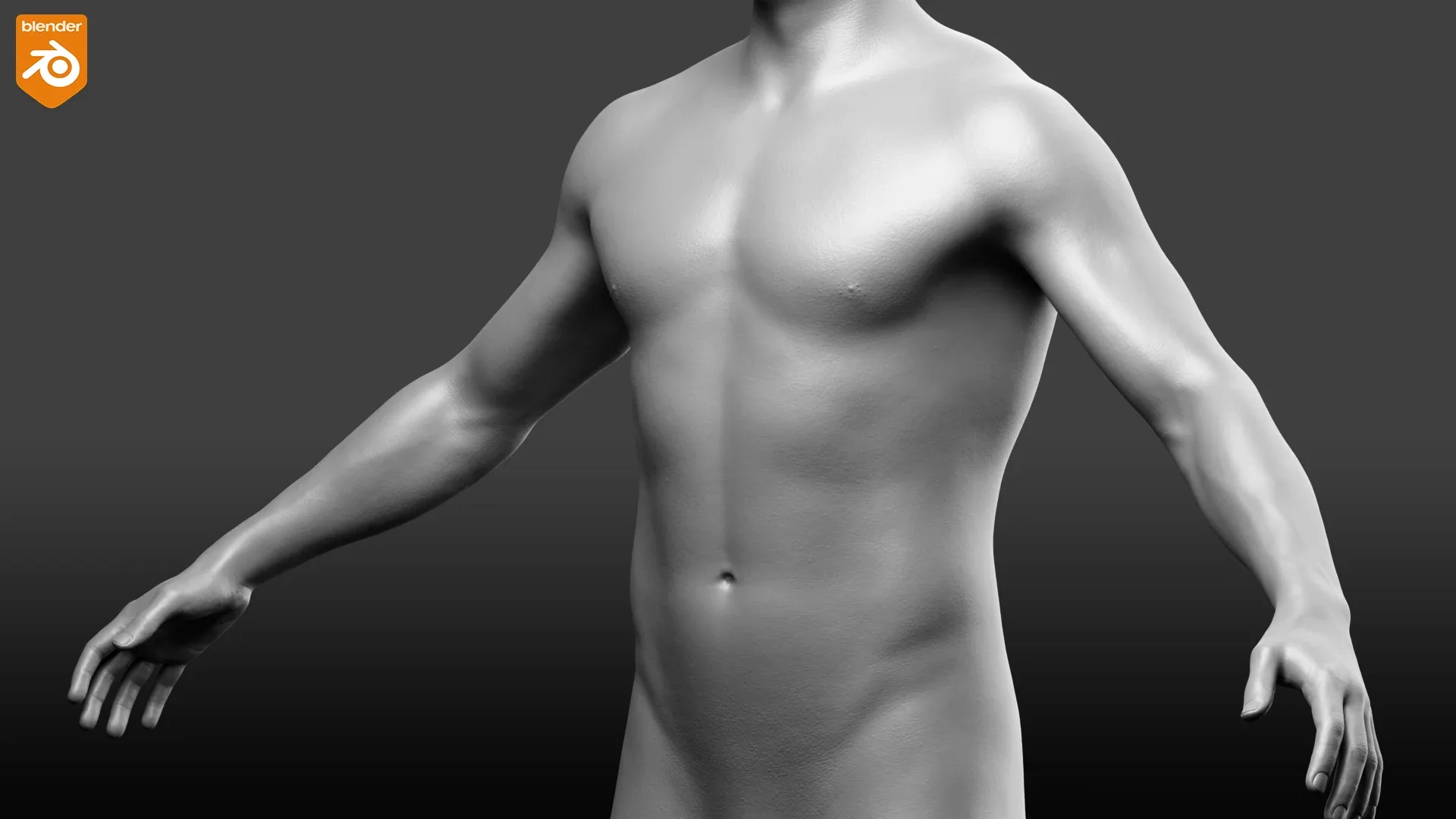 Male Custom Basemesh