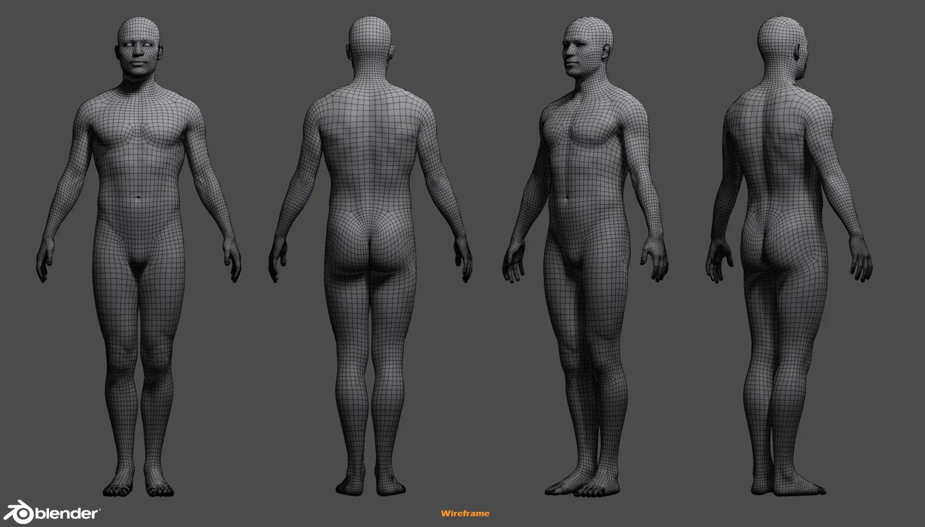 Male Custom Basemesh