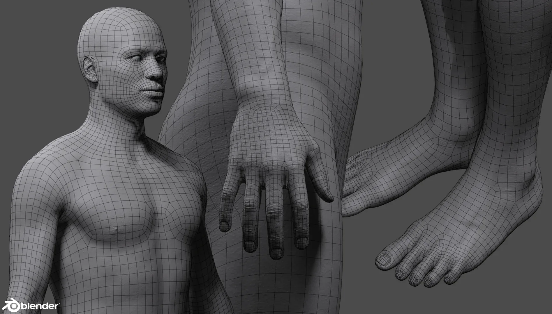 Male Custom Basemesh