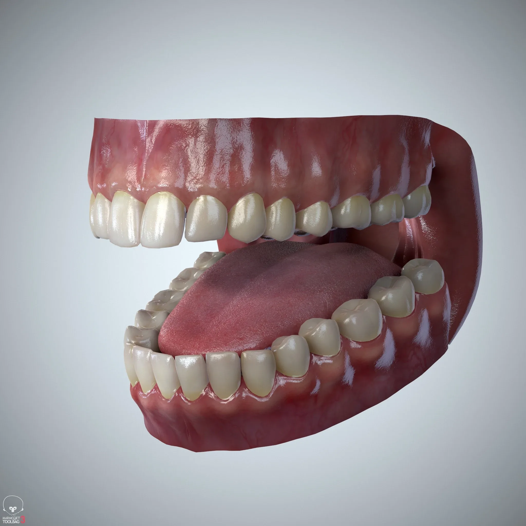 Teeth and Tongue Set