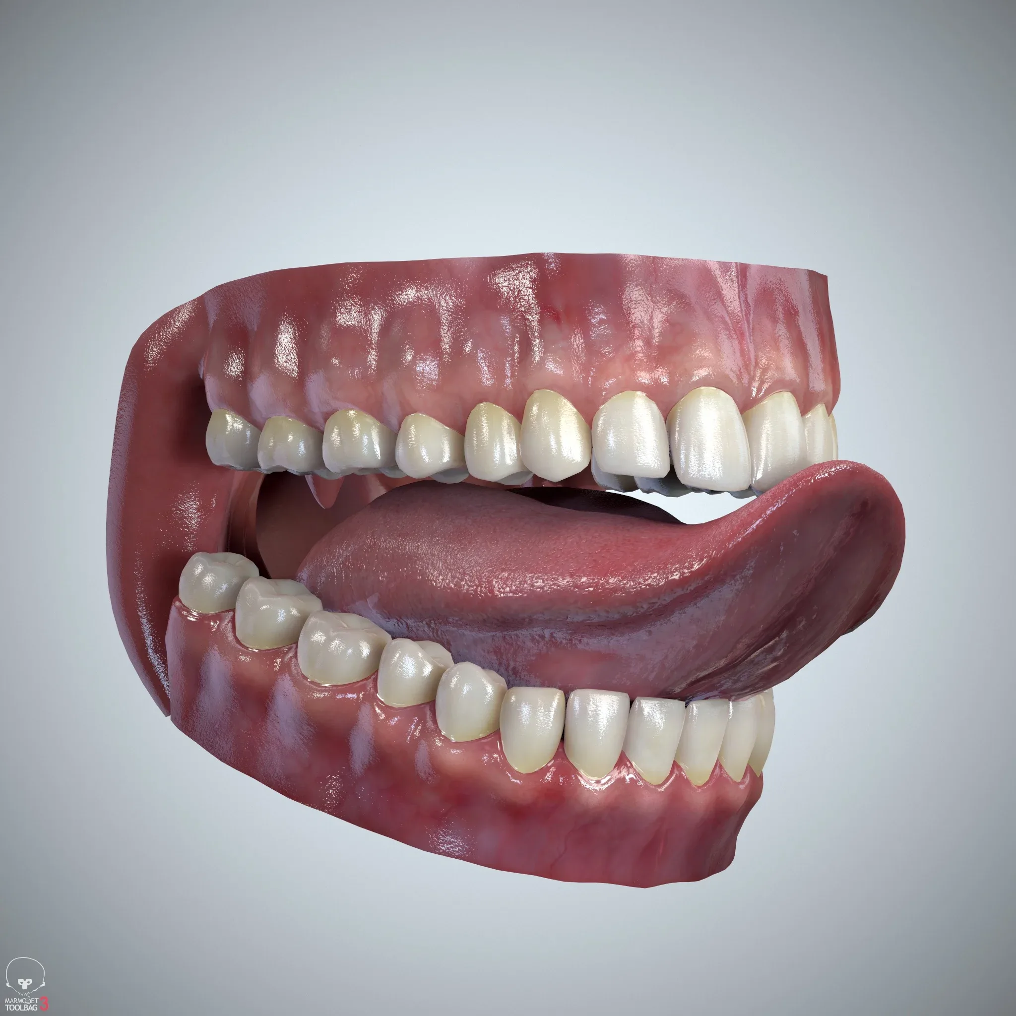 Teeth and Tongue Set