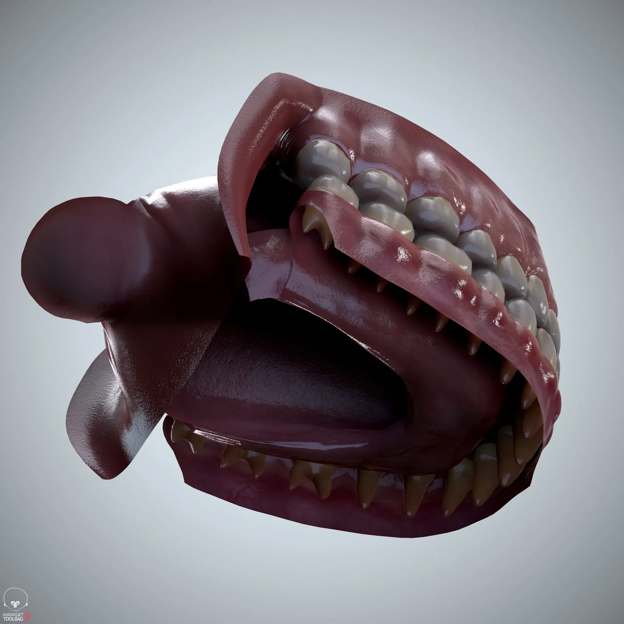 Teeth and Tongue Set