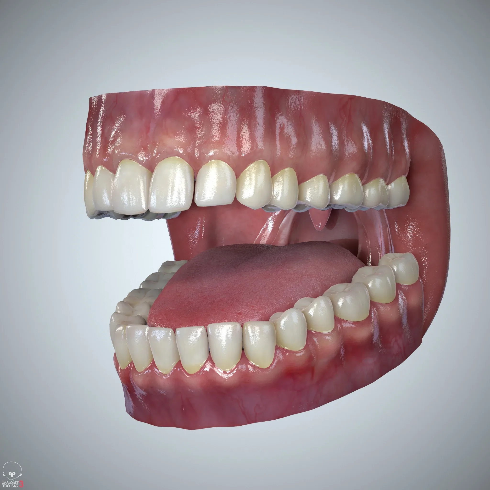 Teeth and Tongue Set