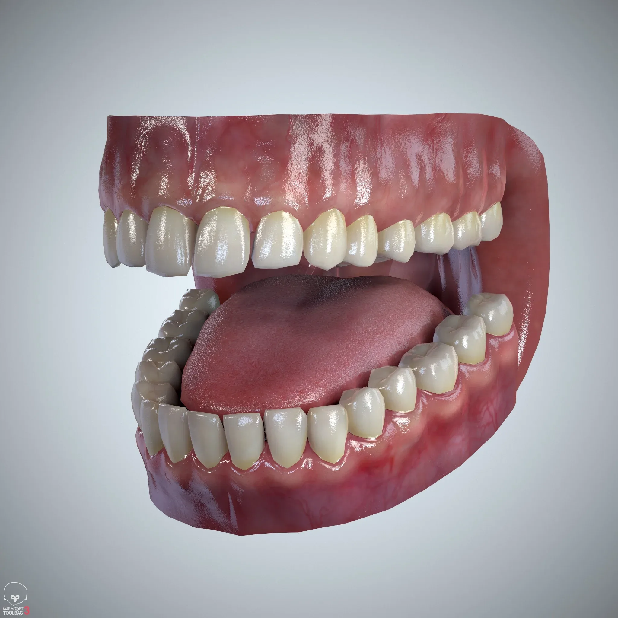 Teeth and Tongue Set