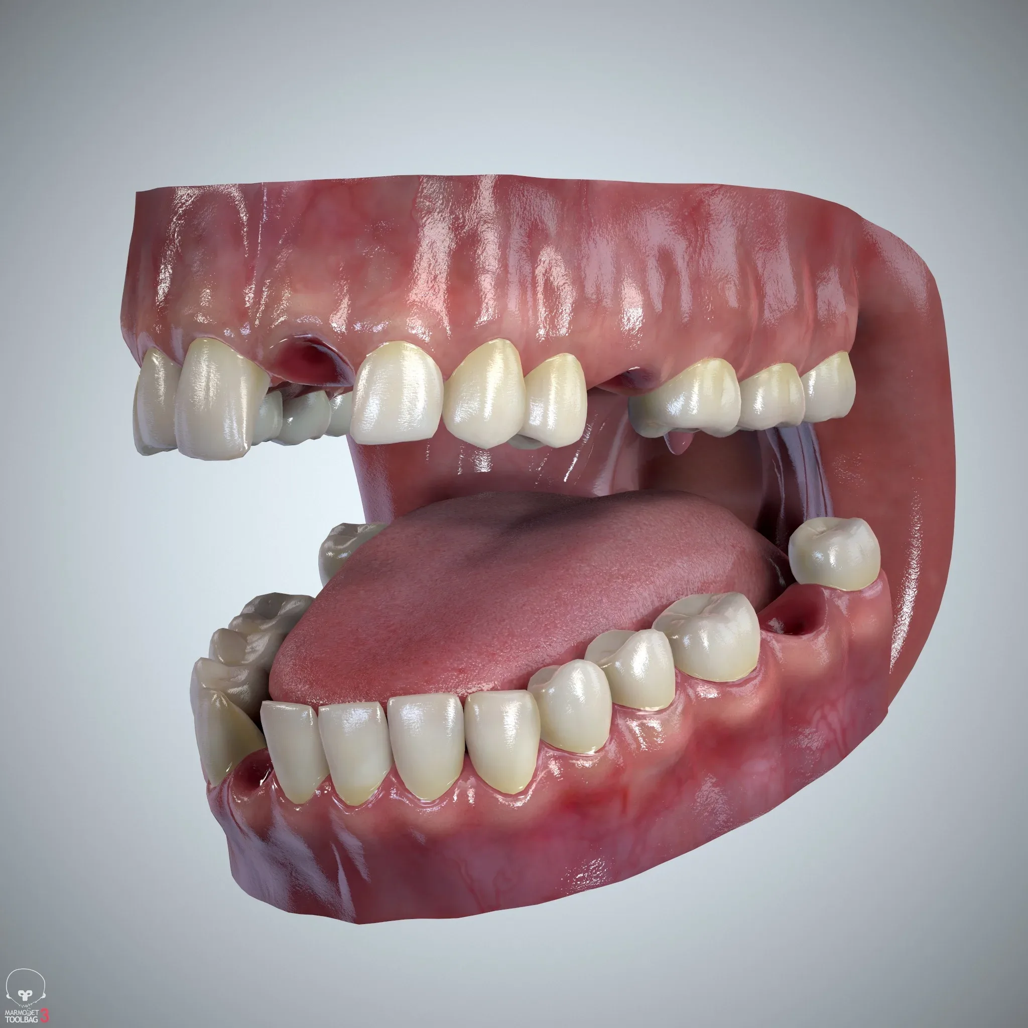 Teeth and Tongue Set