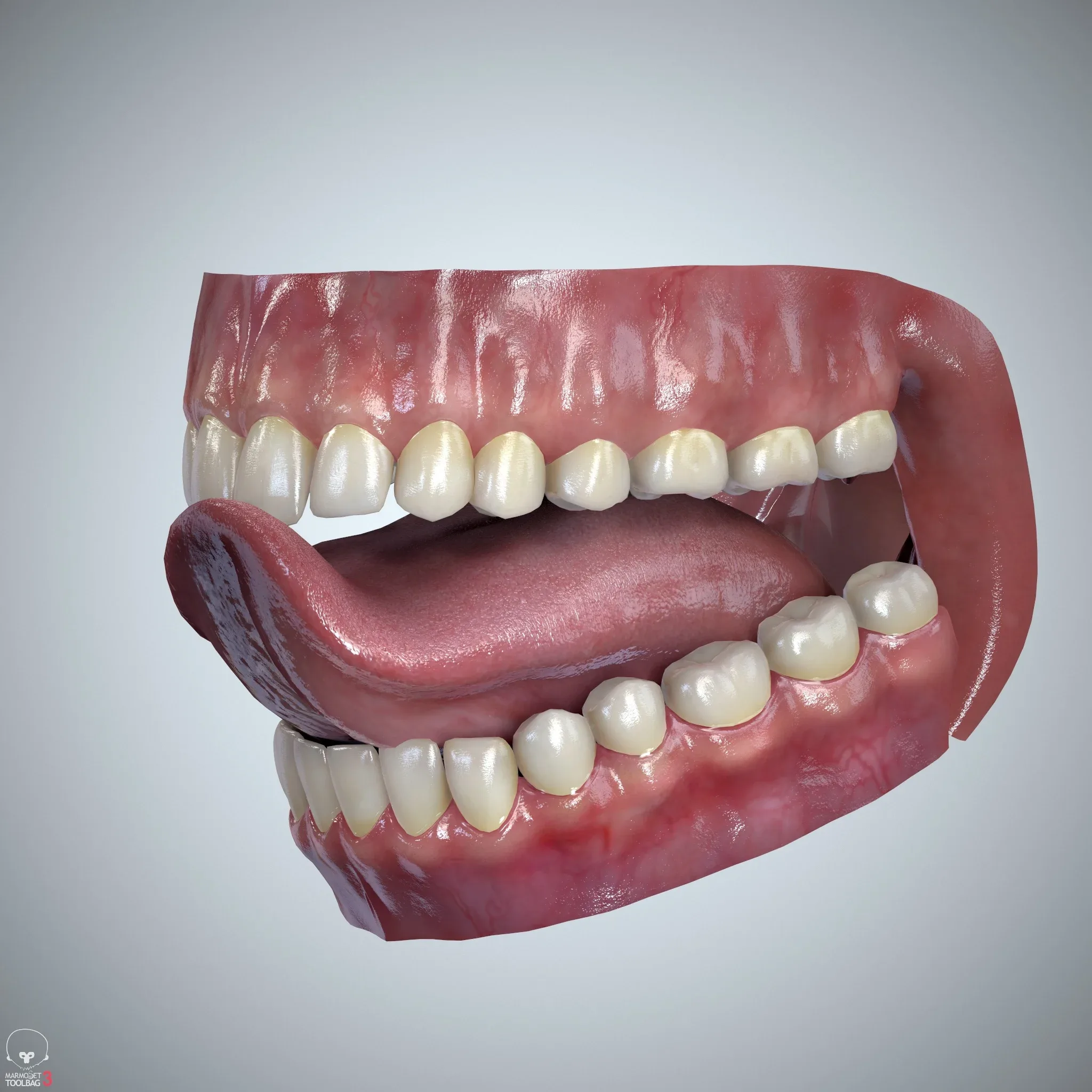 Teeth and Tongue Set