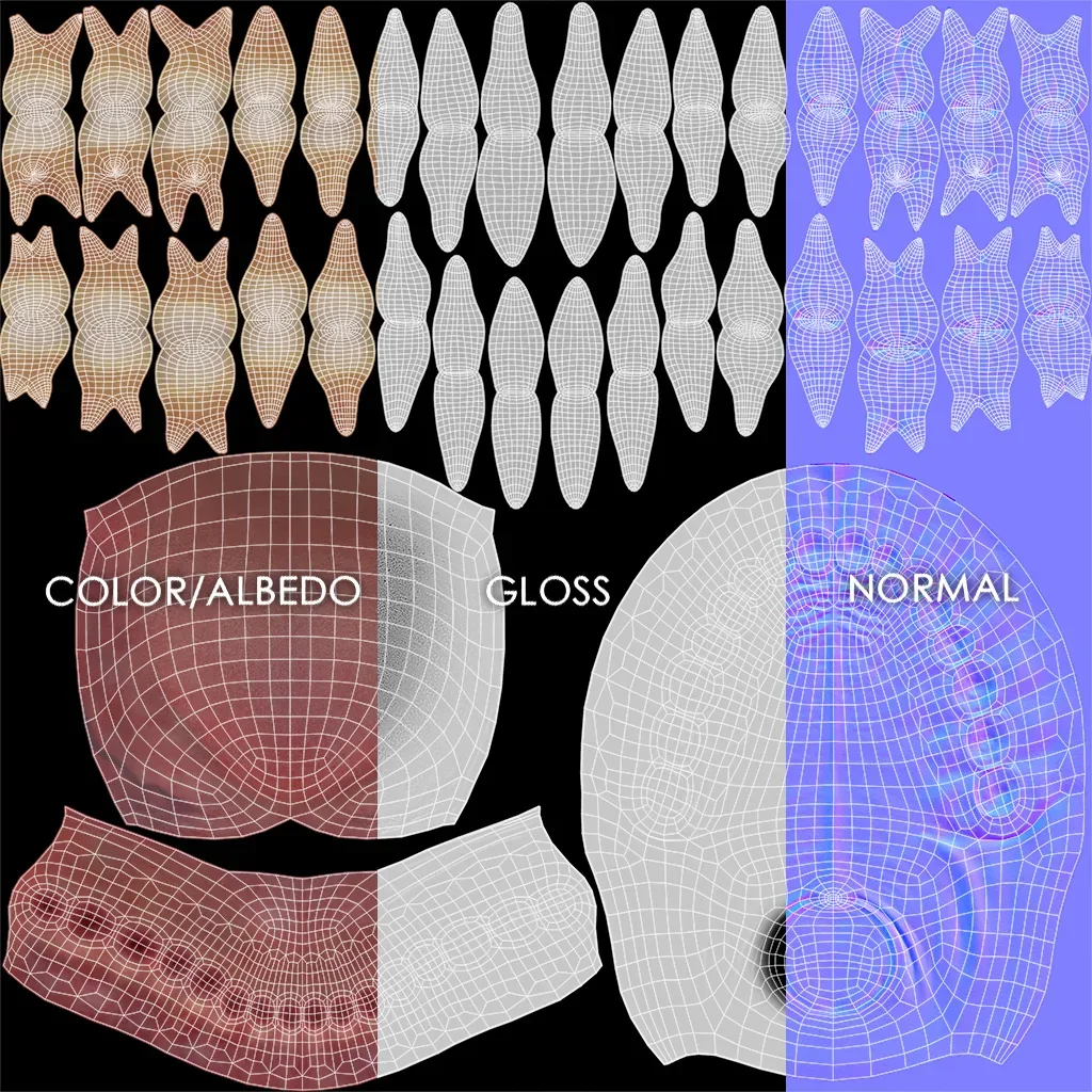 Teeth and Tongue Set