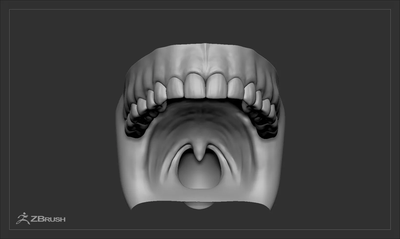 Teeth and Tongue Set