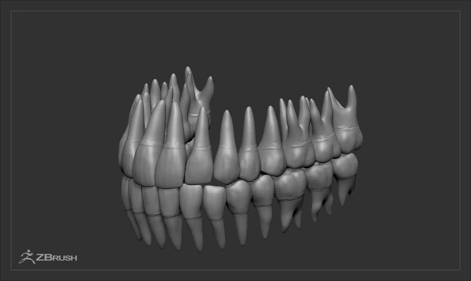 Teeth and Tongue Set