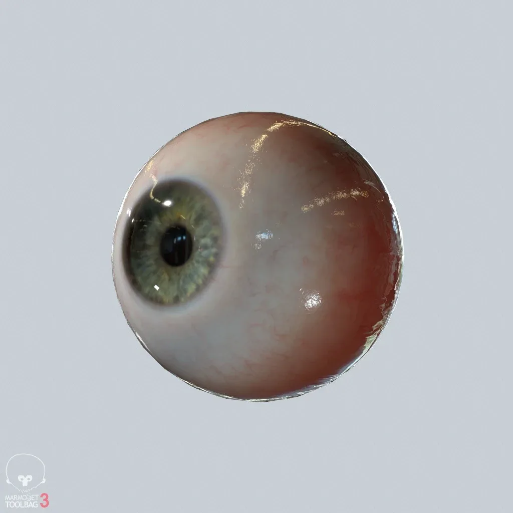 Eyeball