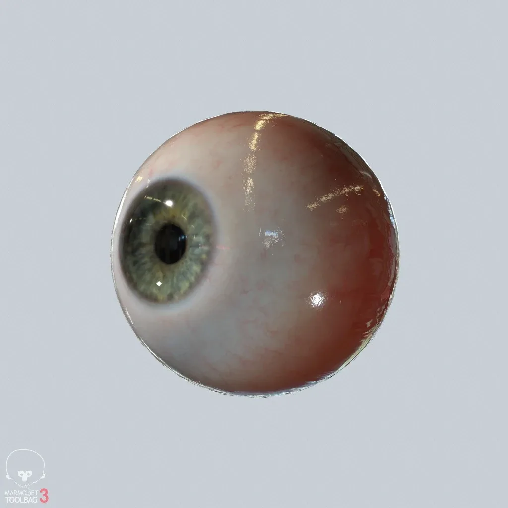 Eyeball