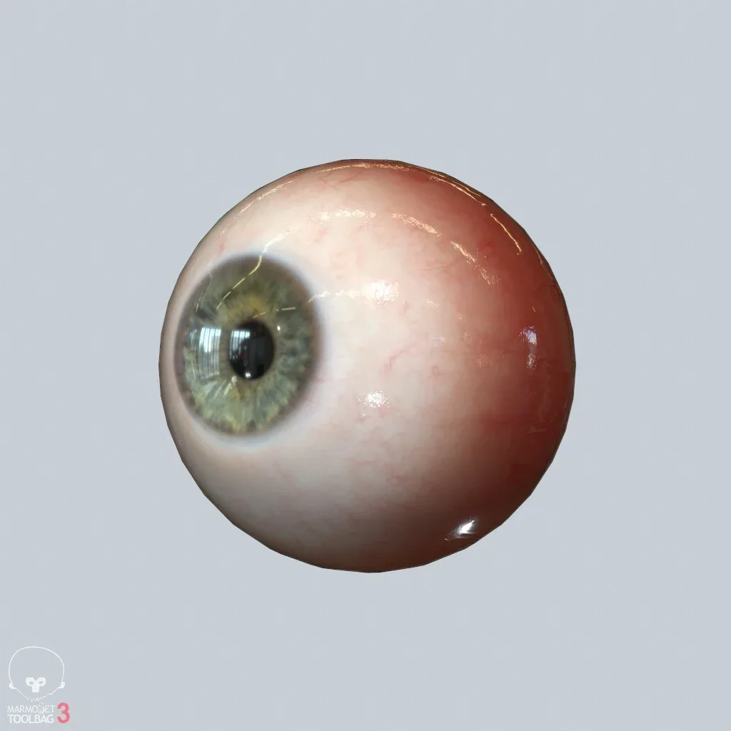 Eyeball